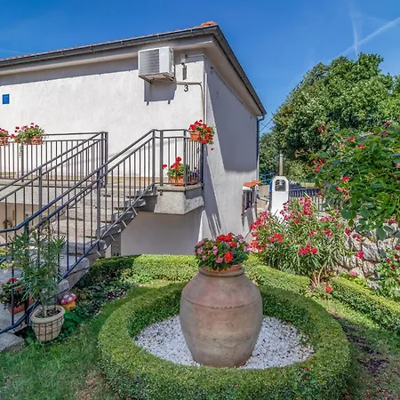 Apartman Awesome In With Wifi